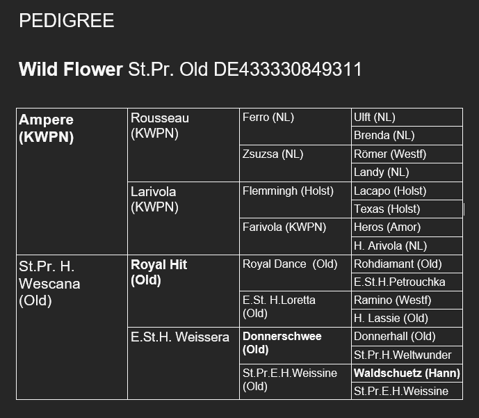 Screenshot 2024-09-18 134323